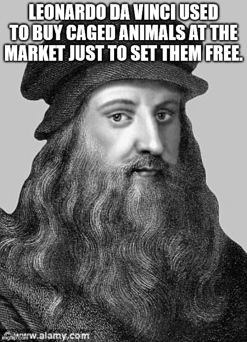 Leonardo da Vinci - Leonardo Da Vinci Used To Buy Caged Animals At The Market Just To Set Them Free. imgflip.com com w.alamy.com