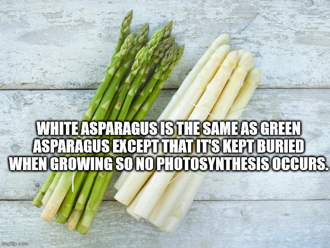 White Asparagus Is The Same As Green Asparagus Except That It'S Kept Buried When Growing So No Photosynthesis Occurs. imgflip.com
