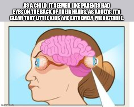 As A Child, It Seemed Parents Had Eyes On The Back Of Their Heads. As Adults, It'S Clear That Little Kids Are Extremely Predictable. imgflip.com