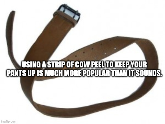 zak bagans meme - Using A Strip Of Cow Peel To Keep Your Pants Up Is Much More Popular Than It Sounds. imgflip.com
