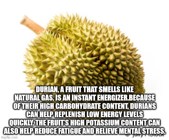 durian fruit - Durian, A Fruit That Smells Natural Gas, Is An Instant Energizer.Because Of Their High Carbohydrate Content, Durians Can Help Replenish Low Energy Levels Quickly. The Fruit'S High Potassium Content Can Also Help Reduce Fatigue And Relieve M