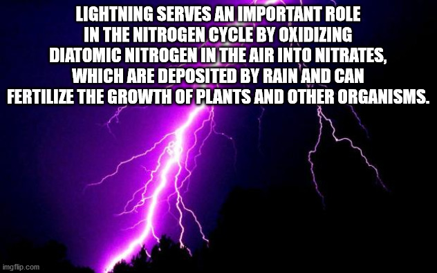 meme - Lightning Serves An Important Role In The Nitrogen Cycle By Oxidizing Diatomic Nitrogen In The Air Into Nitrates, Which Are Deposited By Rain And Can Fertilize The Growth Of Plants And Other Organisms. imgflip.com