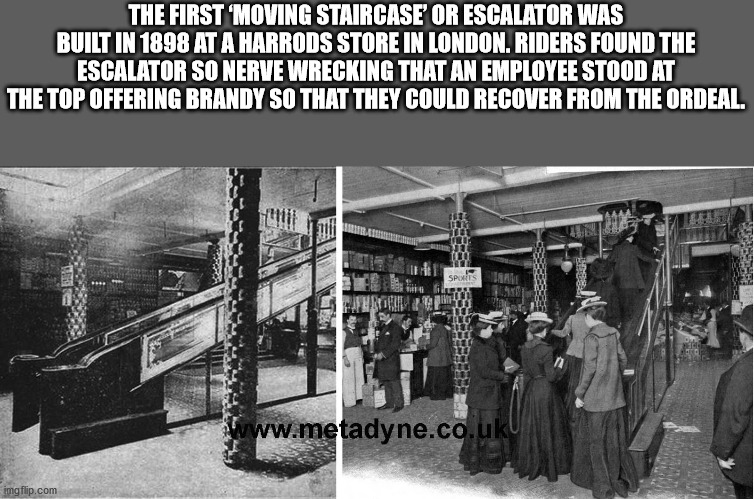 monochrome photography - The First Moving Staircase Or Escalator Was Built In 1898 At A Harrods Store In London. Riders Found The Escalator So Nerve Wrecking That An Employee Stood At The Top Offering Brandy So That They Could Recover From The Ordeal. 09 
