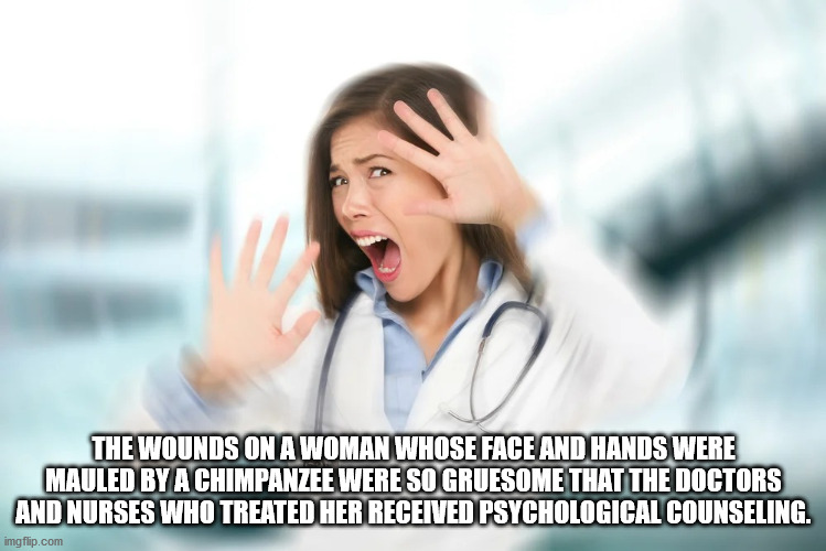 thought you were never ever - The Wounds On A Woman Whose Face And Hands Were Mauled By A Chimpanzee Were So Gruesome That The Doctors And Nurses Who Treated Her Received Psychological Counseling. imgflip.com