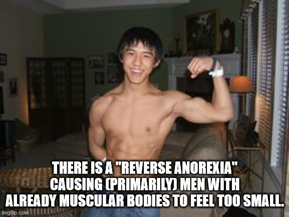 barechestedness - There Is A "Reverse Anorexia" Causing Primarily Men With Already Muscular Bodies To Feel Too Small. imgflip.com