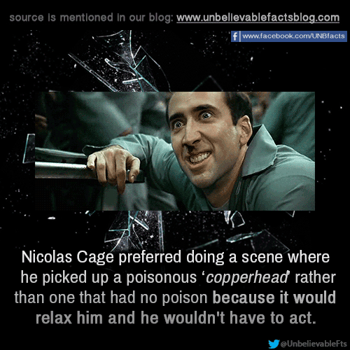 photo caption - source is mentioned in our blog fwww.facebook.comUNBfacts Nicolas Cage preferred doing a scene where he picked up a poisonous 'copperhead rather than one that had no poison because it would relax him and he wouldn't have to act.