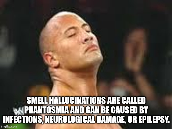 photo caption - Smell Hallucinations Are Called Phantosmia And Can Be Caused By Infections, Neurological Damage, Or Epilepsy. imgflip.com