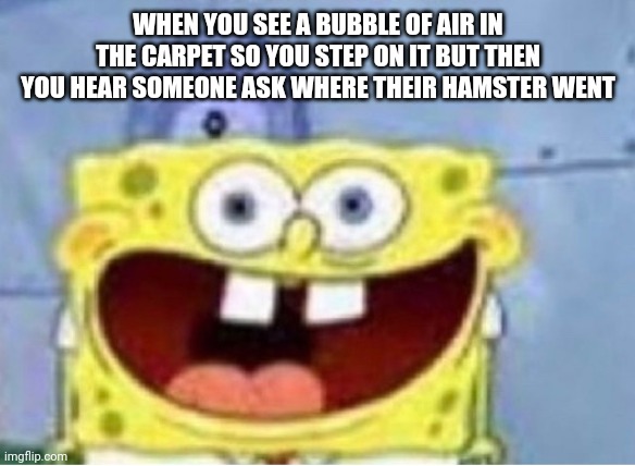 funny spongebob - When You See A Bubble Of Air In The Carpet So You Step On It But Then You Hear Someone Ask Where Their Hamster Went imgflip.com