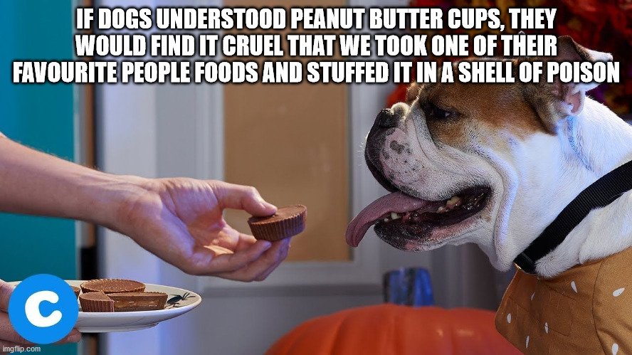 photo caption - If Dogs Understood Peanut Butter Cups, They Would Find It Cruel That We Took One Of Their Favourite People Foods And Stuffed It In A Shell Of Poison imgflip.com