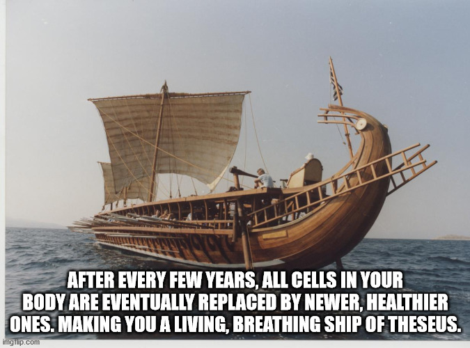 theseus ship - After Every Few Years, All Cells In Your Body Are Eventually Replaced By Newer, Healthier Ones. Making You A Living, Breathing Ship Of Theseus. imgrip.com
