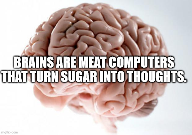 scumbag brain - Brains Are Meat Computers That Turn Sugar Into Thoughts. imgflip.com