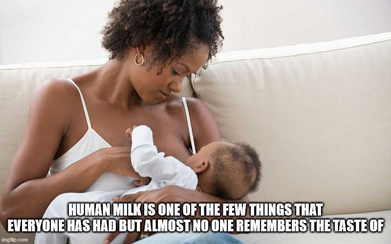 breastfeeding mother - Human Milk Is One Of The Few Things That Everyone Has Had But Almost No One Remembers The Taste Of imgflip.com