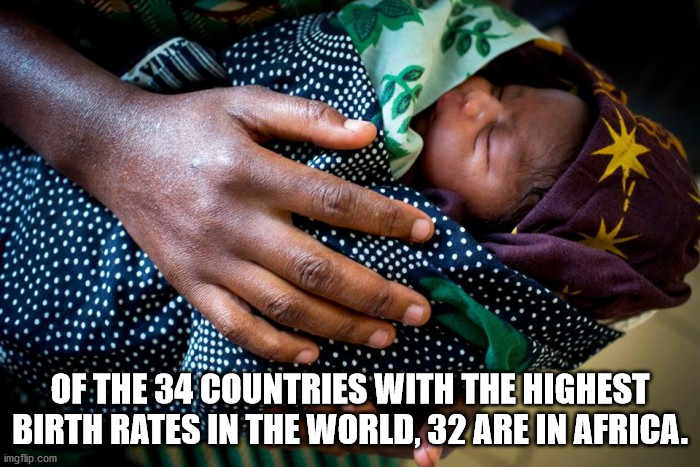 human - Of The 34 Countries With The Highest Birth Rates In The World, 32 Are In Africa. imgflip.com