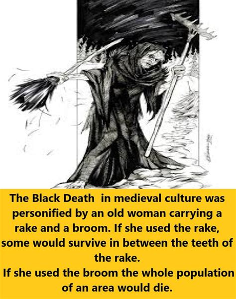 cartoon - The Black Death in medieval culture was personified by an old woman carrying a rake and a broom. If she used the rake, some would survive in between the teeth of the rake. If she used the broom the whole population of an area would die.