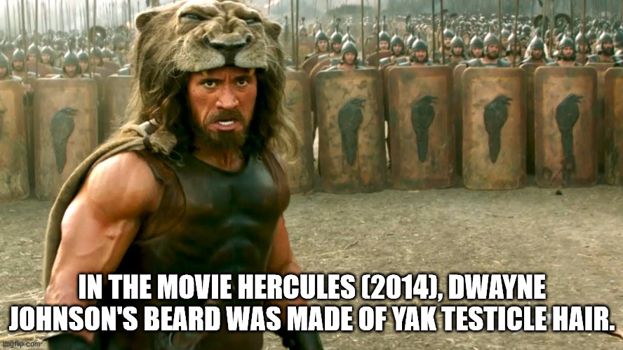 In The Movie Hercules 2014, Dwayne Johnson'S Beard Was Made Of Yak Testicle Hair. imgflip.com