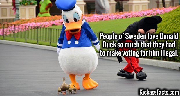 mascot - People of Sweden love Donald Duck so much that they had to make voting for him illegal. KickassFacts.com