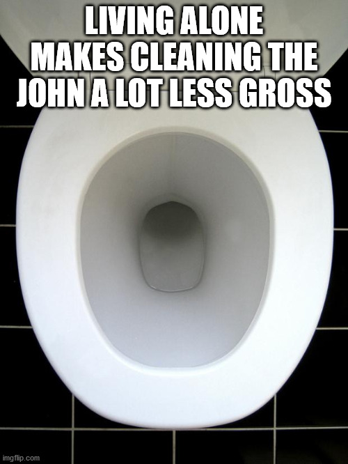 toilet seat - Living Alone Makes Cleaning The John A Lot Less Gross imgflip.com