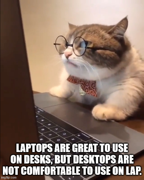 cat with glasses on computer meme - Laptops Are Great To Use On Desks, But Desktops Are Not Comfortable To Use On Lap. imgflip.com