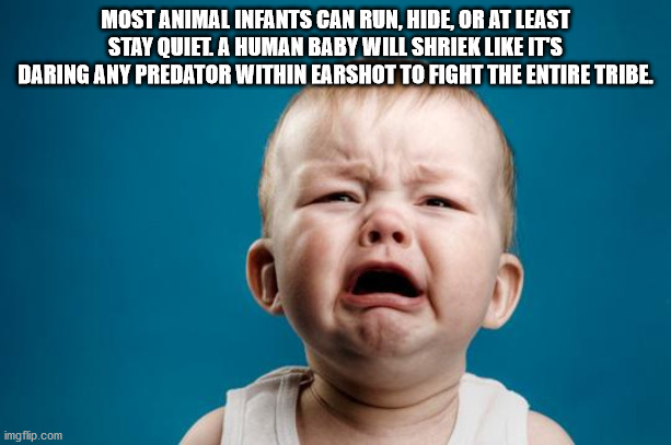 crying baby - Most Animal Infants Can Run, Hide, Or At Least Stay Quiel A Human Baby Will Shriek It'S Daring Any Predator Within Earshot To Fight The Entire Tribe. imgflip.com