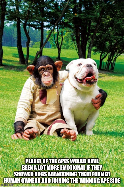 Planet Of The Apes Would Have Been A Lot More Emotional If They Showed Dogs Abandoning Their Former Human Owners And Joining The Winning Ape Side imgflip.com