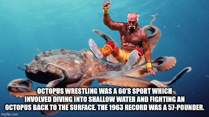 marine biology - Octopus Wrestling Was A 60'S Sport Which Involved Diving Into Shallow Water And Fighting An Octopus Back To The Surface The 1963 Record Was A 57Pounder. imgflip.com