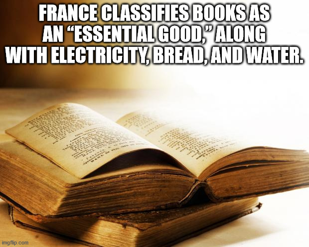 book - France Classifies Books As An "Essential Good, Along With Electricity, Bread, And Water. imgflip.com