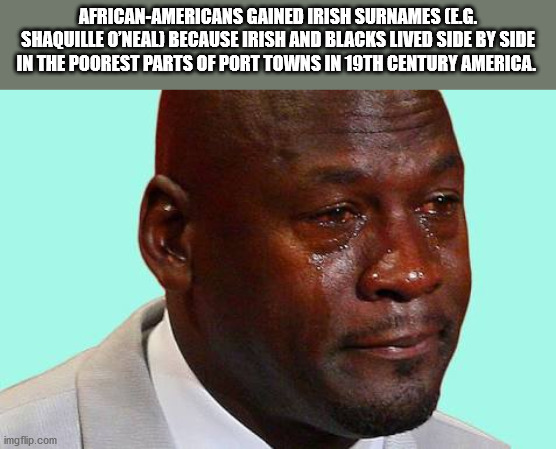 michael jordan hall of fame - AfricanAmericans Gained Irish Surnames Eg. Shaquille O'Neali Because Irish And Blacks Lived Side By Side In The Poorest Parts Of Port Towns In 19TH Century America. imgflip.com