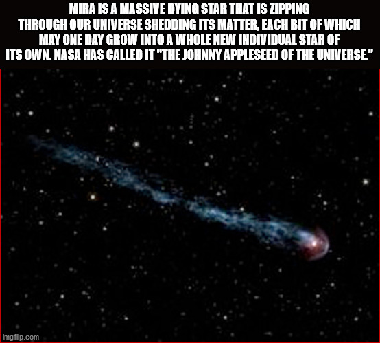 mira star - Mira Is A Massive Dying Star That Is Zipping Through Our Universe Shedding Its Matter, Each Bit Of Which May One Day Grow Into A Whole New Individual Star Of Its Own. Nasa Has Called It "The Johnny Appleseed Of The Universe." imgflip.com