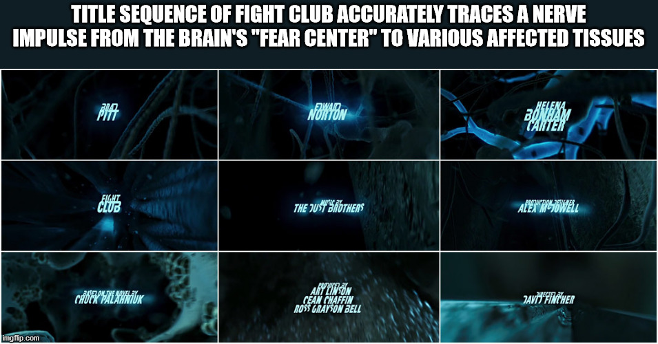 fc botosani - Title Sequence Of Fight Club Accurately Traces A Nerve Impulse From The Brain'S "Fear Center" To Various Affected Tissues Nonton Helena Bovam Tanter Fight Club wear The Just Brothers Alenwsowell Caook Palauluk Arttunson Cean Chaffin Ross Gra