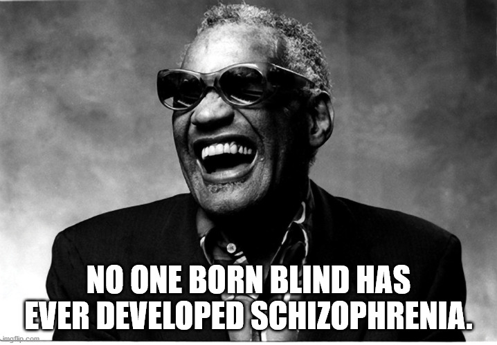 photo caption - No One Born Blind Has Ever Developed Schizophrenia. imgflip.com