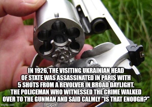firearm - In 1926, The Visiting Ukrainian Head Of State Was Assassinated In Paris With 5 Shots From A Revolver In Broad Daylight. The Policeman Who Witnessed The Crime Walked Over To The Gunman And Said Calmly "Is That Enough?" imgflip.com