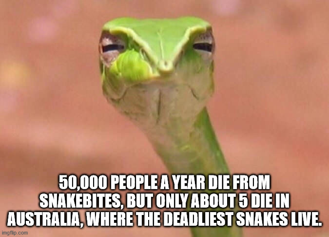 kony meme - 50,000 People A Year Die From Snakebites, But Only About 5 Die In Australia, Where The Deadliest Snakes Live. imgflip.com