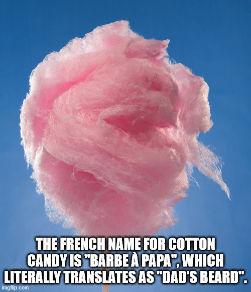 cotton candy memes - The French Name For Cotton Candy Is "Barbe Papa", Which Literally Translates As "Dad'S Beard". imgflip.com