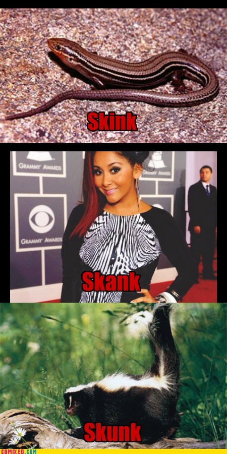 poster - Skin Grammy Awards H0 141 Grammy Awards Skank Skunk Comix Ed.Com