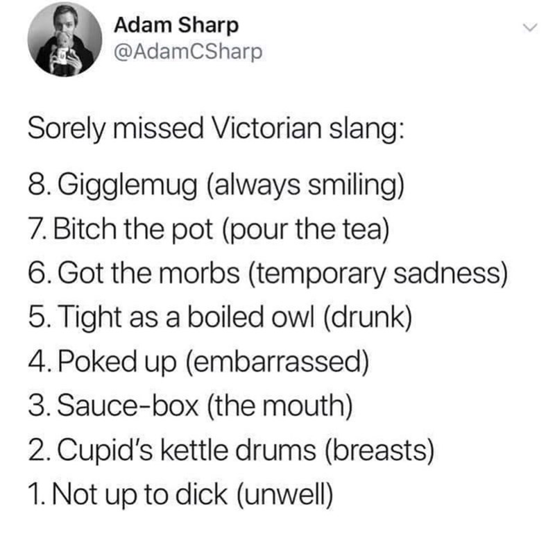 bitch the pot - Adam Sharp CSharp Sorely missed Victorian slang 8. Gigglemug always smiling 7. Bitch the pot pour the tea 6. Got the morbs temporary sadness 5. Tight as a boiled owl drunk 4. Poked up embarrassed 3. Saucebox the mouth 2. Cupid's kettle dru