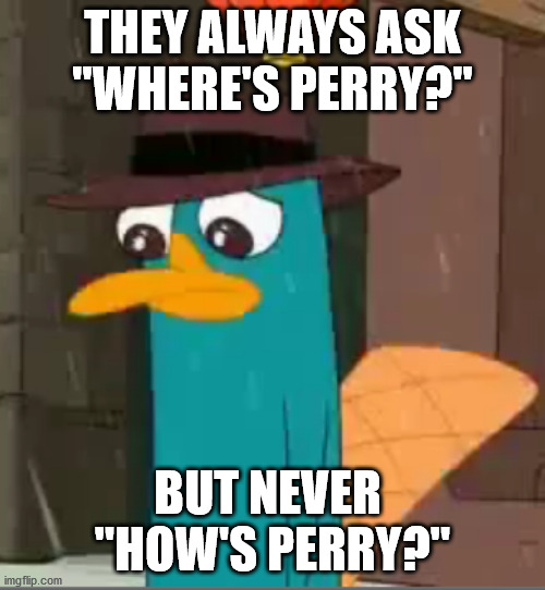 cartoon - They Always Ask "Where'S Perry?" But Never "How'S Perry?" imgflip.com
