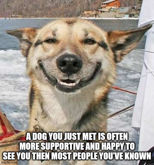 smiling dog - A Dog You Just Met Is Often More Supportive And Happy To See You Then Most People You'Ve Known imgflip.com