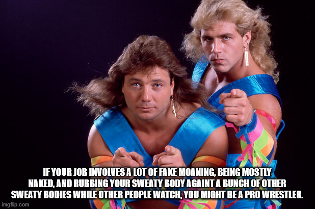 shawn michaels marty jannetty - If Your Job Involves A Lot Of Fake Moaning, Being Mostly Naked, And Rubbing Your Sweaty Body Againt A Bunch Of Other Sweaty Bodies While Other People Watch, You Might Be A Pro Wrestler. imgflip.com