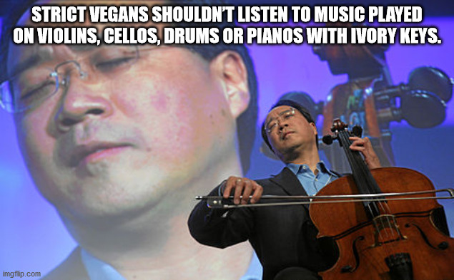 yo yo ma - Strict Vegans Shouldn'T Listen To Music Played On Violins, Cellos, Drums Or Pianos With Ivory Keys. imgflip.com