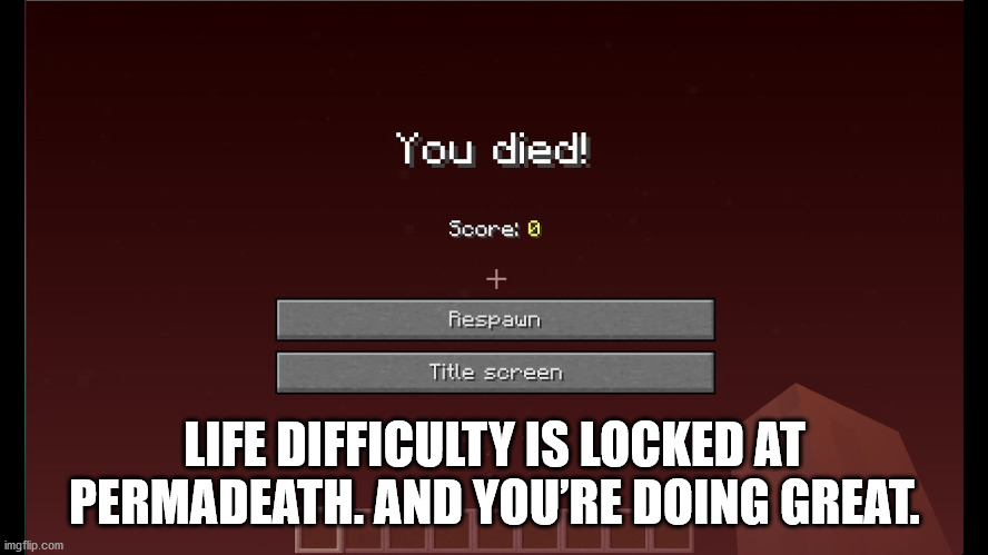 presentation - You died! Score @ Respawn Title screen Life Difficulty Is Locked At Permadeath. And You'Re Doing Great. imgflip.com