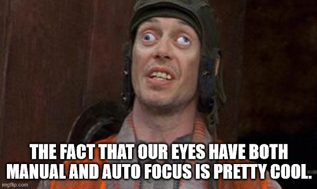 crazy eyes from mr deeds - The Fact That Our Eyes Have Both Manual And Auto Focus Is Pretty Cool. imgflip.com