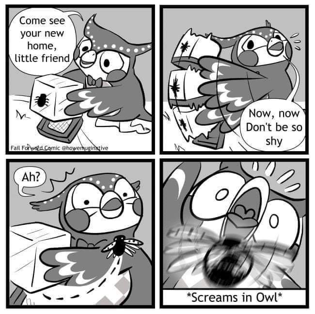 animal crossing blathers comic - Come see your new home, little friend 002 E Now, now Don't be so shy Fail Forward Comic Ah? O End Screams in Owl