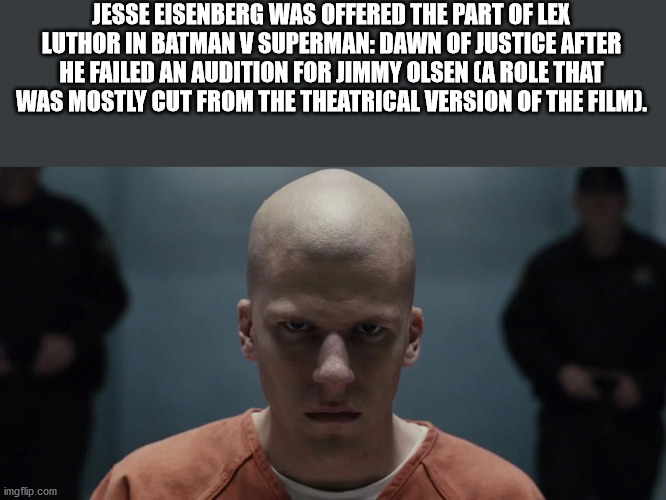 st. louis blues - Jesse Eisenberg Was Offered The Part Of Lex Luthor In Batman V Superman Dawn Of Justice After He Failed An Audition For Jimmy Olsen A Role That Was Mostly Cut From The Theatrical Version Of The Film. imgflip.com