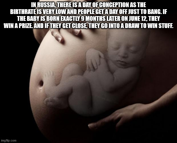 pregnancy - In Russia, There Is A Day Of Conception As The Birthrate Is Very Low And People Get A Day Off Just To Bang. If The Baby Is Born Exactly 9 Months Later On June 12, They Win A Prize. And If They Get Close, They Go Into A Draw To Win Stuff. imgfl