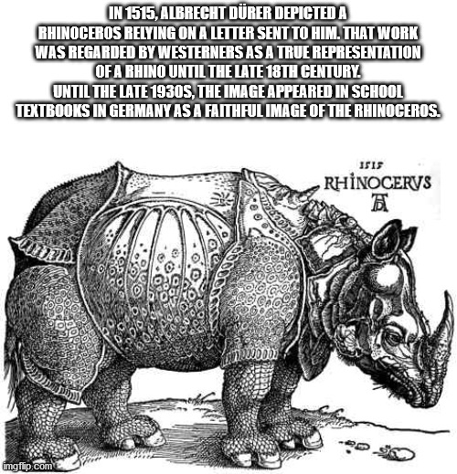 little einsteins art painting - In 1515, Albrecht Drer Depicted A Rhinoceros Relying On A Letter Sent To Him. That Work Was Regarded By Westerners As A True Representation Of A Rhino Until The Late 18TH Century Until The Late 1930S, The Image Appeared In 