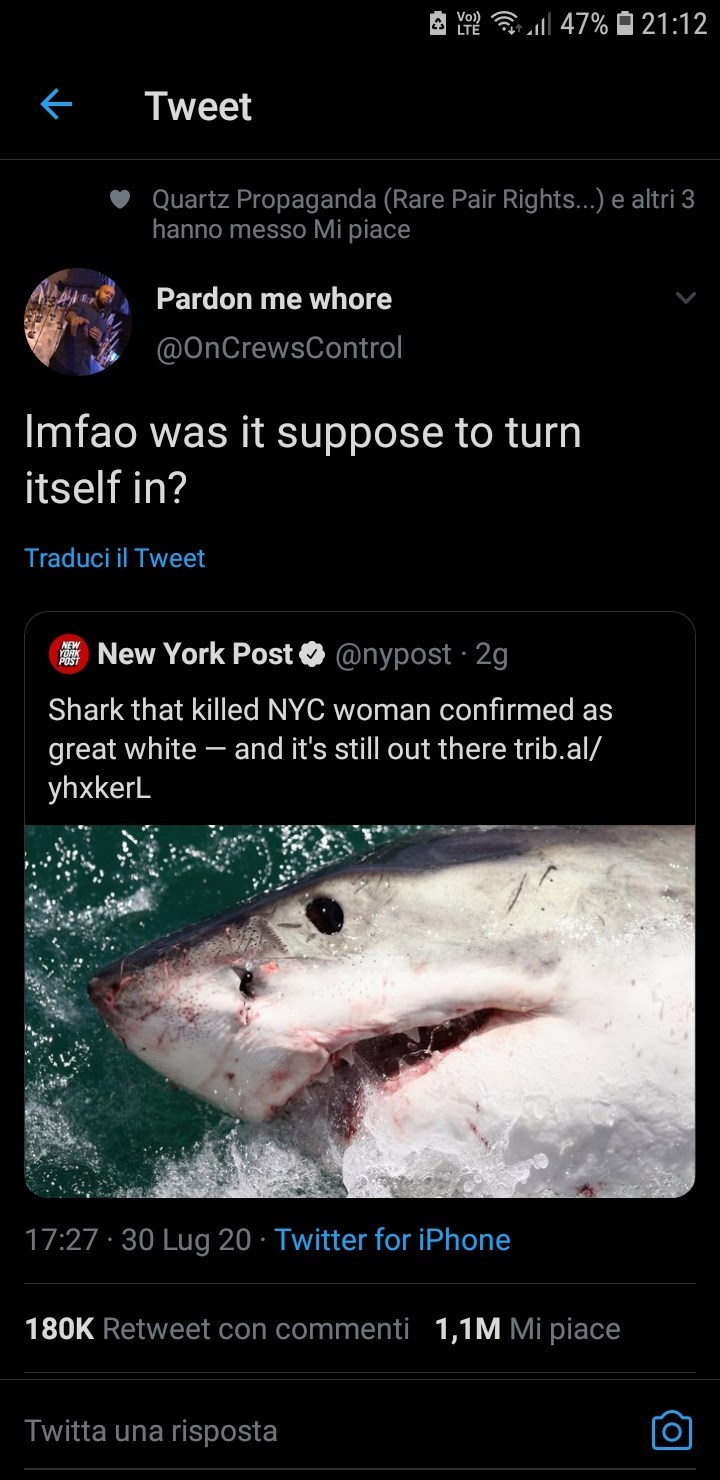 water - Loe Ferill 47% Tweet Quartz Propaganda Rare Pair Rights... e altri 3 hanno messo Mi piace Pardon me whore Imfao was it suppose to turn itself in? Traduci il Tweet Set in New York Post . 2g Shark that killed Nyc woman confirmed as great white and i
