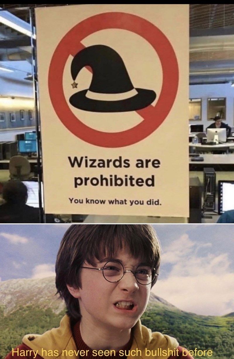 wizards are prohibited you know what you did - e Wizards are prohibited You know what you did. Harry has never seen such bullshit before