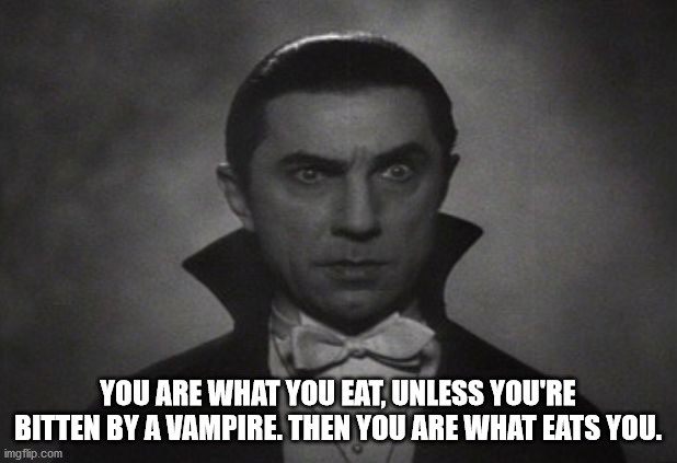 st. louis blues - You Are What You Eat, Unless You'Re Bitten By A Vampire. Then You Are What Eats You. imgflip.com