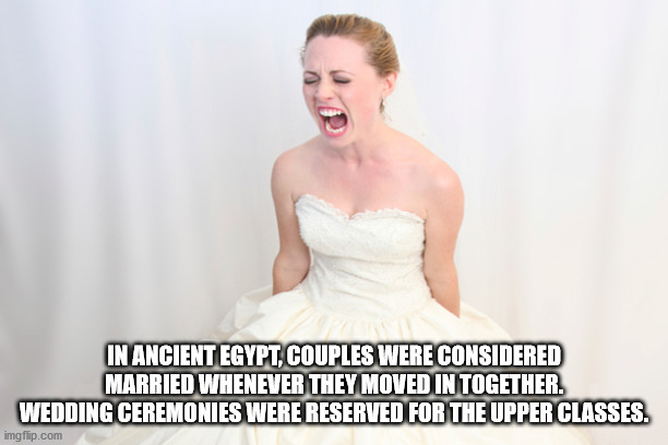 alpesh patel - In Ancient Egypt, Couples Were Considered Married Whenever They Moved In Together. Wedding Ceremonies Were Reserved For The Upper Classes. imgflip.com