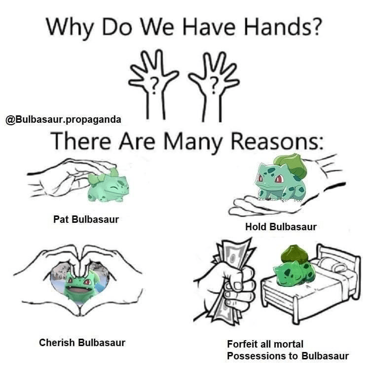 we have hands meme - Why Do We Have Hands? M 77 There Are Many Reasons .propaganda Pat Bulbasaur Hold Bulbasaur Cherish Bulbasaur Forfeit all mortal Possessions to Bulbasaur